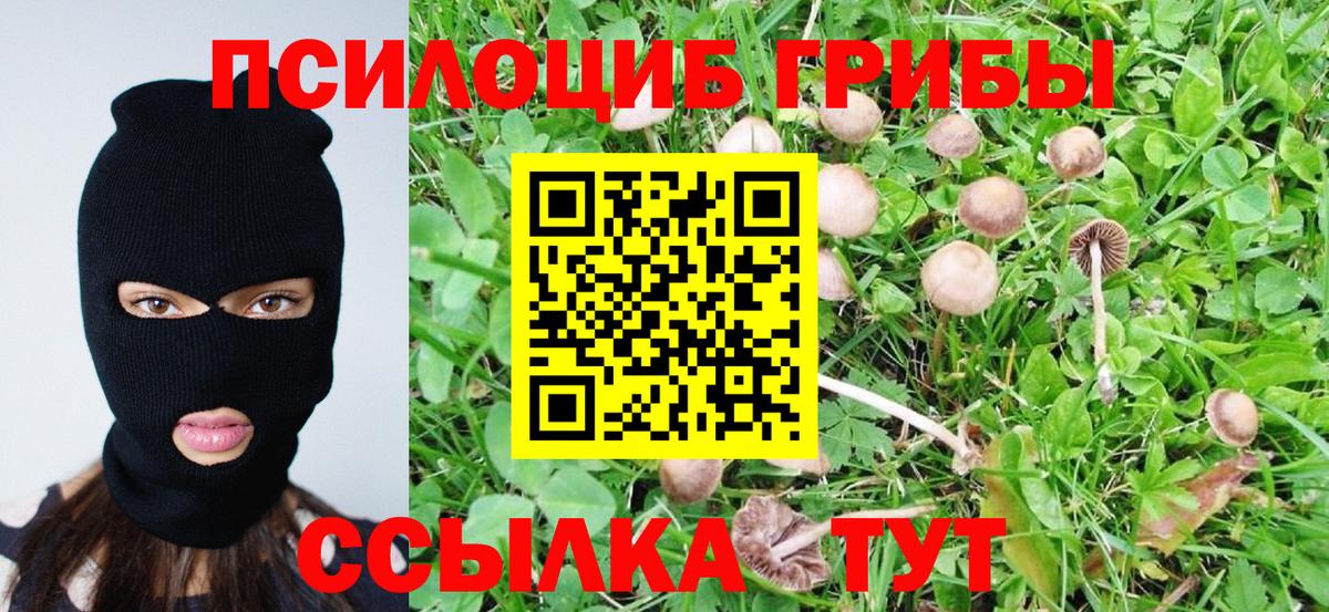 закладка  Вход с VPN  Морозовск  Псилоцибиновые грибы ЛСД 
